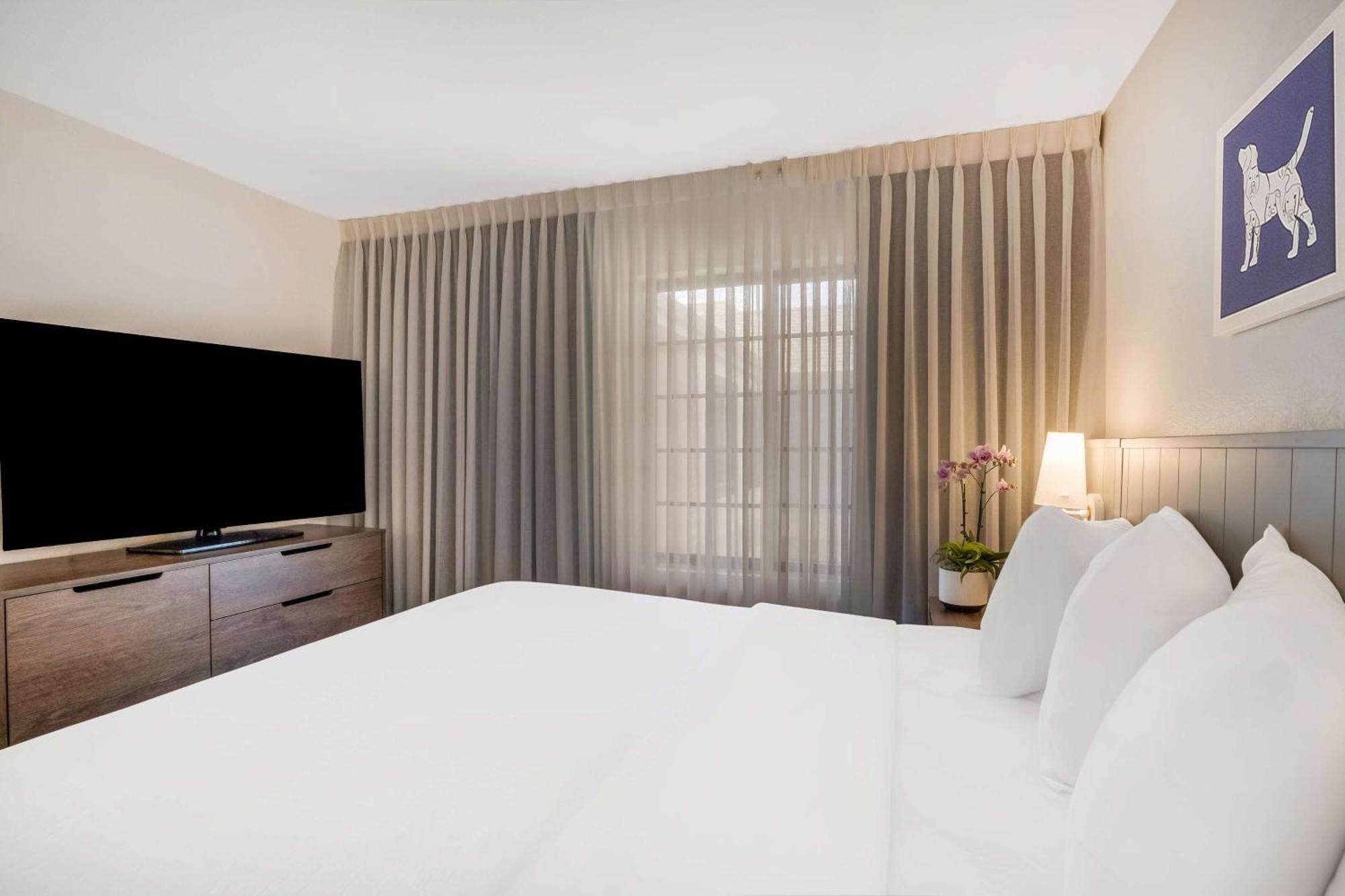 לון טרי Sonesta Es Suites Denver South Park Meadows מראה חיצוני תמונה